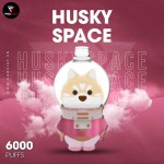 husky-space-6000-hoi