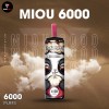 MIOU 6000