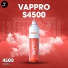 VAPPRO S4500