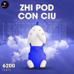 zhi-pod-6200-hoi