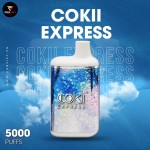 coki-5000-hoi
